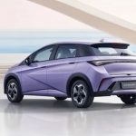 dolphin-byd-belakang