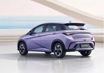 dolphin-byd-belakang